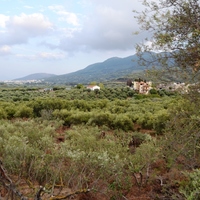 Land plot in Greece
