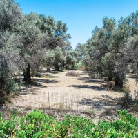 Townhouse in Greece, 77 sq.m.