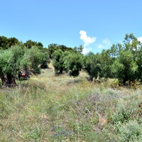 Land plot in Greece