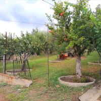 Other in Greece, 167 sq.m.