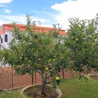 Other in Greece, 167 sq.m.