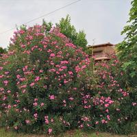 Other in Greece, 167 sq.m.