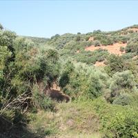 Land plot in Greece
