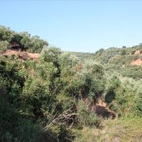 Land plot in Greece