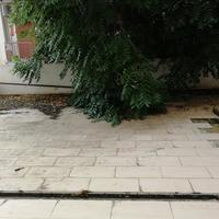 Business center in Greece, 4606 sq.m.