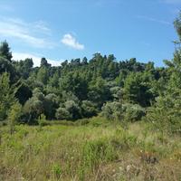 Land plot in Greece, 9000 sq.m.