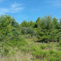 Land plot in Greece, 9000 sq.m.