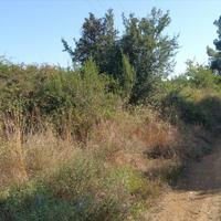 Land plot in Greece, 9000 sq.m.