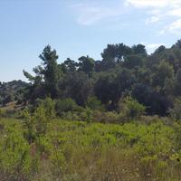 Land plot in Greece, 9000 sq.m.