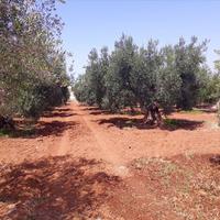 Земельный участок в Греции