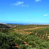 Другое в Греции, 161 кв.м.