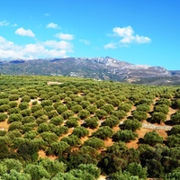 Другое в Греции, 161 кв.м.