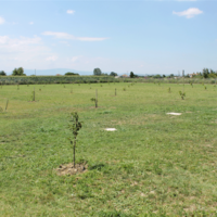 Вилла в Греции, 360 кв.м.