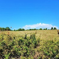 Land plot in Greece