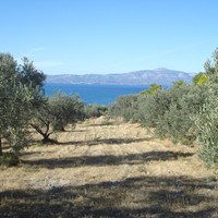 Land plot in Greece