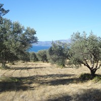 Land plot in Greece