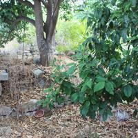 Другое в Греции, 200 кв.м.