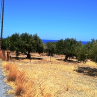 Land plot in Greece