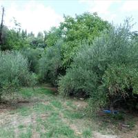 Land plot in Greece