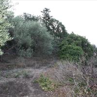 Land plot in Greece