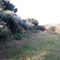 Land plot in Greece