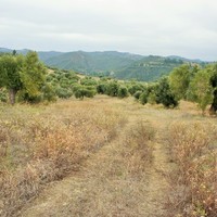 Land plot in Greece