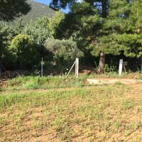Land plot in Greece