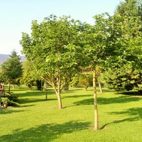 Другое в Греции, 90 кв.м.