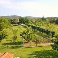 Другое в Греции, 90 кв.м.