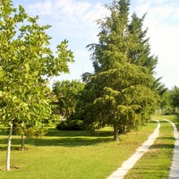 Другое в Греции, 90 кв.м.