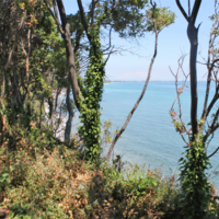 Земельный участок в Греции