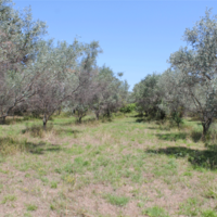 Земельный участок в Греции