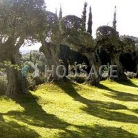 Дом в Испании, Андалусия, 1385 кв.м.