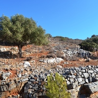 Land plot in Greece