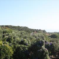 Вилла в Греции, 120 кв.м.