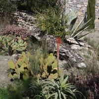 Вилла в Греции, 230 кв.м.