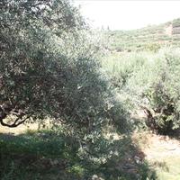 Земельный участок в Греции