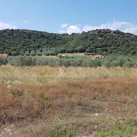 Land plot in Greece