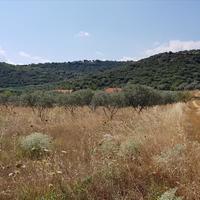 Land plot in Greece