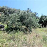 Hotel in Greece, 600 sq.m.