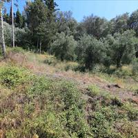 Hotel in Greece, 600 sq.m.