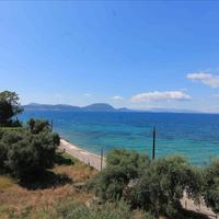 Hotel in Greece, 600 sq.m.