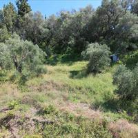 Hotel in Greece, 600 sq.m.