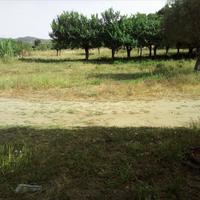 Land plot in Greece