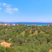 Hotel in Greece, 224 sq.m.