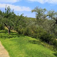 Hotel in Greece, 224 sq.m.