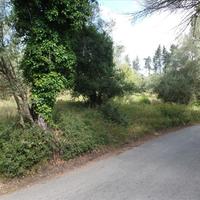 Land plot in Greece