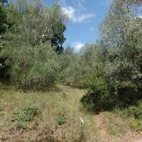 Land plot in Greece