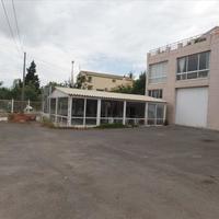 Business center in Greece, 750 sq.m.