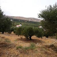 Land plot in Greece